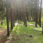 Karštą vasaros dieną saugo nuo nuo saulės